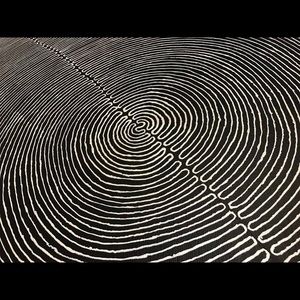 Meet your Posher, Lou